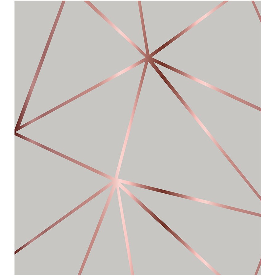 D460-PAPELDEPAREDE-GEOMETRICOROSE